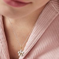 Кулон Fragile Nature из серебра и вермеля