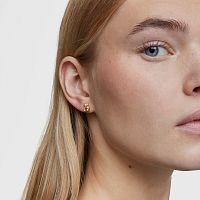 Серьги Bold Bear из вермеля с аметистом