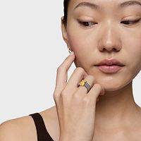 Кольцо Mesh из стали и золота